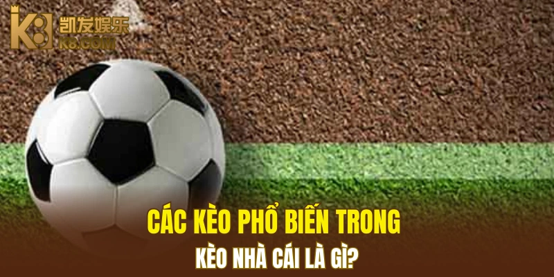Các kèo phổ biến trong kèo nhà cái là gì?