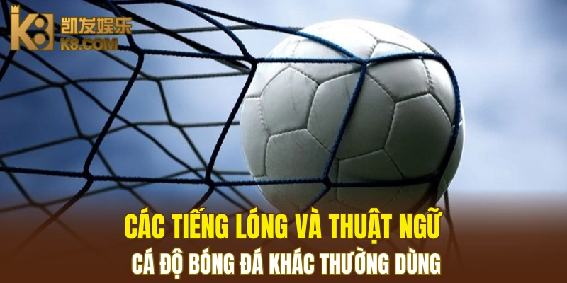Các tiếng lóng và thuật ngữ cá độ bóng đá khác thường dùng