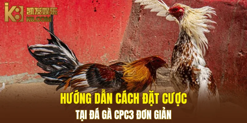 Nổ Hũ Đổi Thưởng K8 - Cơ Hội Thắng Jackpot Khổng Lồ 7 Hướng dẫn cách đặt cược tại đá gà CPC3 đơn giản