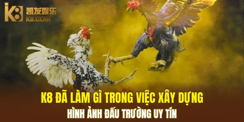 Nổ Hũ Đổi Thưởng K8 - Cơ Hội Thắng Jackpot Khổng Lồ 6 K8 đã làm gì trong việc xây dựng hình ảnh đấu trường uy tín