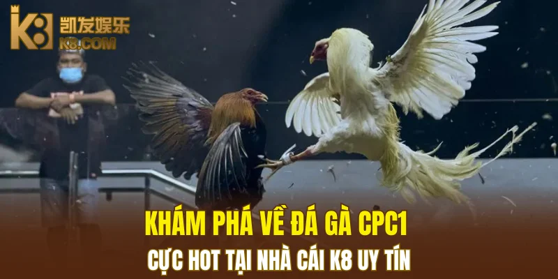 Nổ Hũ Đổi Thưởng K8 - Cơ Hội Thắng Jackpot Khổng Lồ 5 Khám phá về đá gà CPC1 cực hot tại nhà cái K8 uy tín