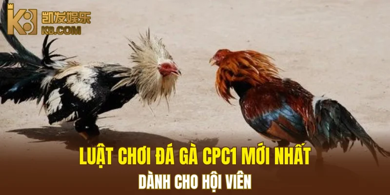 Nổ Hũ Đổi Thưởng K8 - Cơ Hội Thắng Jackpot Khổng Lồ 6 Luật chơi đá gà CPC1 mới nhất dành cho hội viên