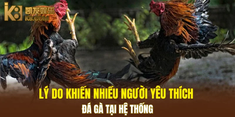 Nổ Hũ Đổi Thưởng K8 - Cơ Hội Thắng Jackpot Khổng Lồ 7 Lý do khiến nhiều người yêu thích đá gà tại hệ thống
