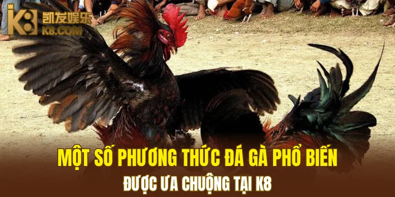 Nổ Hũ Đổi Thưởng K8 - Cơ Hội Thắng Jackpot Khổng Lồ 6 Một số phương thức đá gà phổ biến được ưa chuộng tại K8