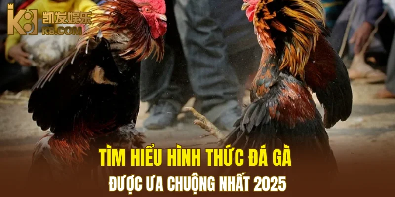 Tìm hiểu hình thức đá gà được ưa chuộng nhất 2025
